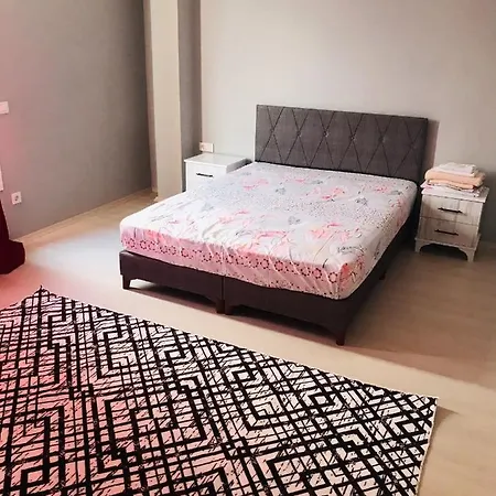 Comfortable Duplex Flat In